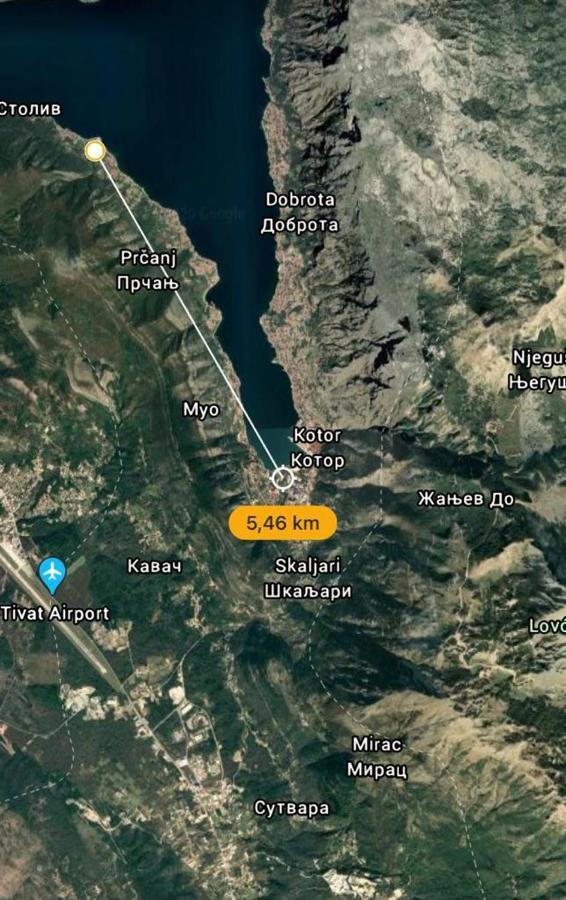 Villa Nikola Κότορ Εξωτερικό φωτογραφία