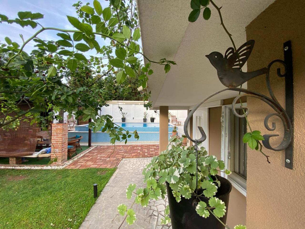 Villa Nikola Κότορ Εξωτερικό φωτογραφία